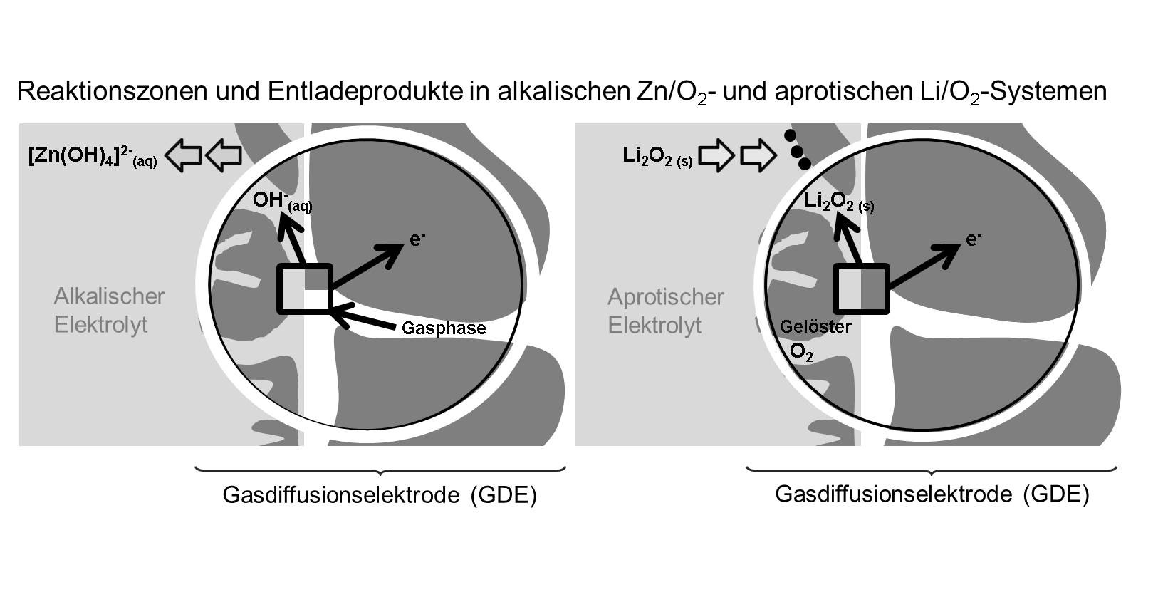 Schematische Darstellung zur Unterscheidung der Reaktionszonen an der GDE, Alkalischer Elektrolyt: 3-Phasen Grenze bzw. Aprotischer Elektrolyt: 2-Phasen-Grenze.